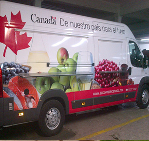 Van Wrap - Image 4